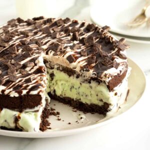 Mint Chocolate Chip Ice Cream Cake Recipe